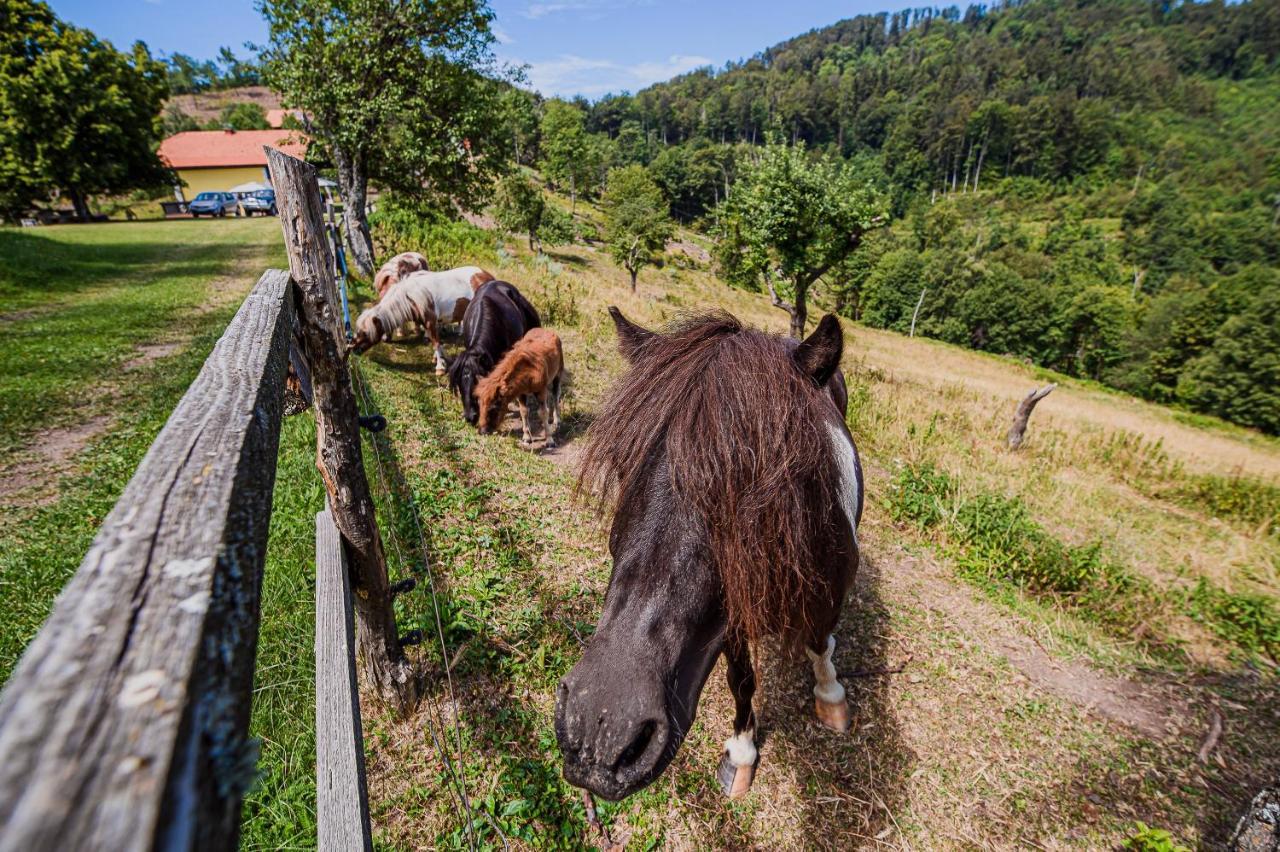 Ferienwohnung Eko Pony Ranch Ogrizek Podčetrtek Exterior foto