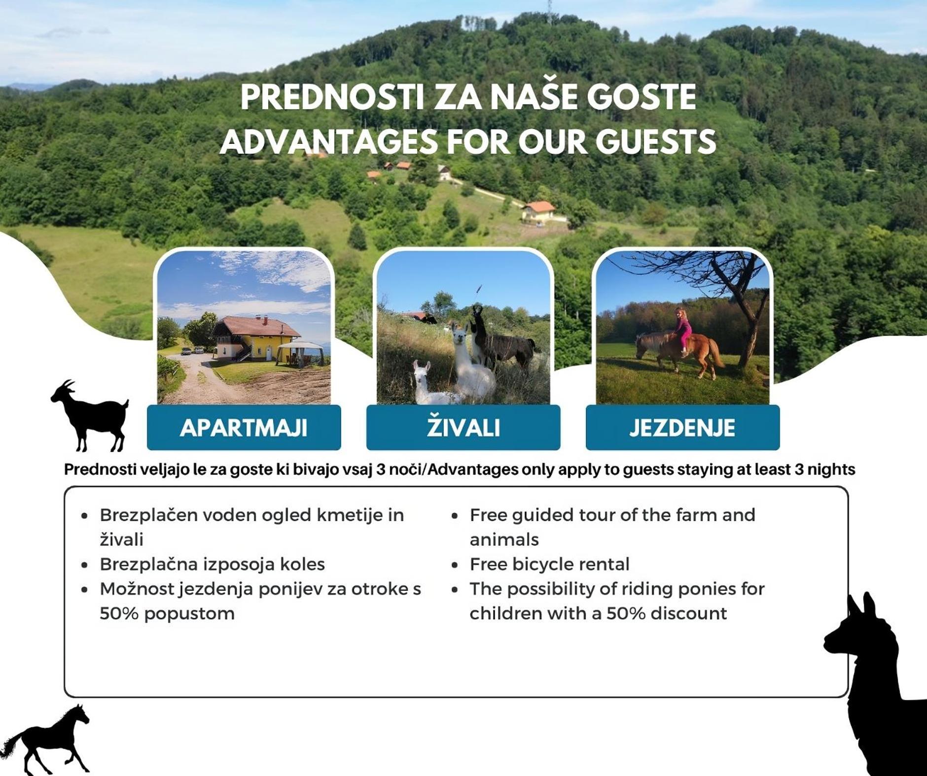 Ferienwohnung Eko Pony Ranch Ogrizek Podčetrtek Exterior foto